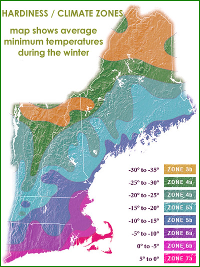 new england climate and hardiness zones minimum low temperatures