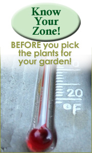 know your temperature zone before you shop for your plants